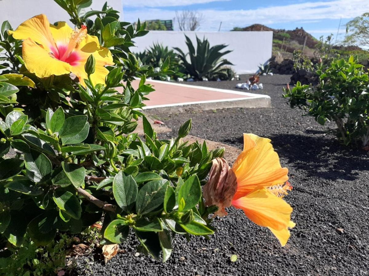 Loft La Tahonilla Pension Tías Buitenkant foto